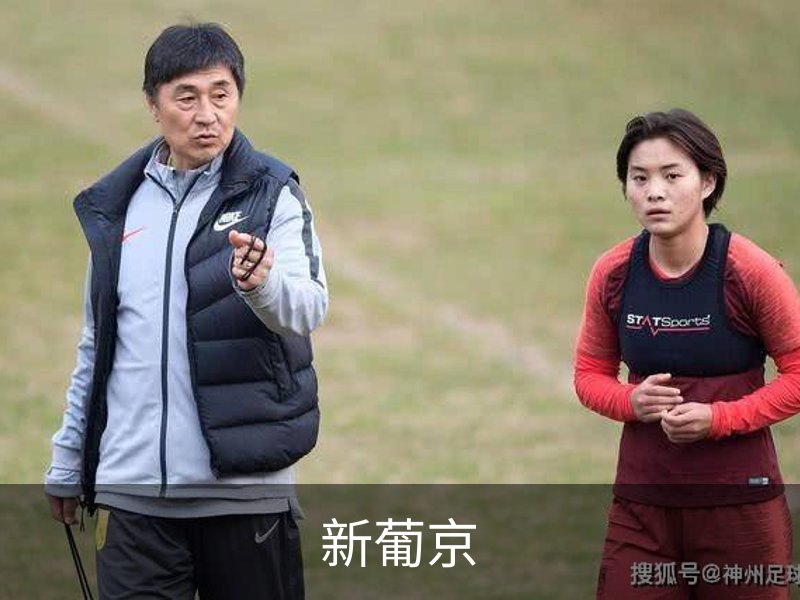 了解新葡京